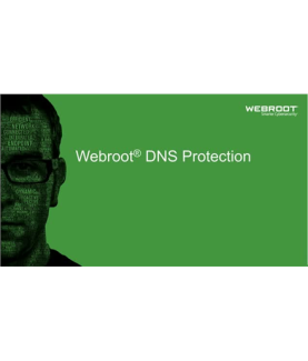 Webroot | DNS Protection with GSM Console | 1 year(s) | License quantity 1-9 user(s)