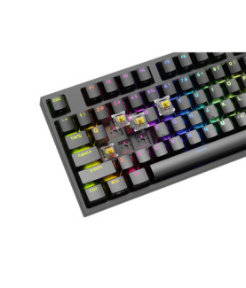 Genesis | Mechanical Gaming Keyboard | THOR 404 TKL RGB | Black | Mechanical Gaming Keyboard | Wired | US | USB Type-A | 1005 g