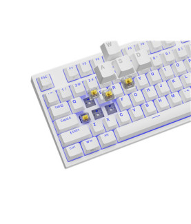 Genesis | Mechanical Gaming Keyboard | THOR 404 TKL RGB | White | Mechanical Gaming Keyboard | Wired | US | USB Type-A | 1005 g