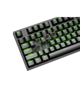 Genesis | Mechanical Gaming Keyboard | THOR 404 TKL RGB | Black | Mechanical Gaming Keyboard | Wired | US | USB Type-A | 1005 g