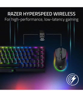 Razer | Cobra Pro | Wireless | Wireless (2.4GHz and Bluetooth) | Black | Yes