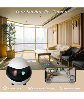 Enabot | EBO SE | Robot IP Camera | Compact | N/A MP | N/A | 16GB external memory, support 256GB at maximum | White