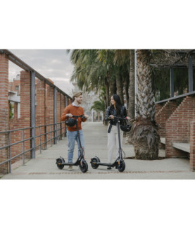 Ninebot by Segway Kickscooter F2 E, Black | Segway | Kickscooter F2 E | Up to 25 km/h | 10 " | Black