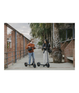 Ninebot by Segway Kickscooter F2 E, Black | Segway | Kickscooter F2 E | Up to 25 km/h | 10 " | Black