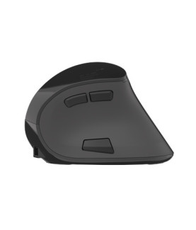 Natec | Vertical Mouse | Euphonie | Wireless | Bluetooth/USB Nano Receiver | Black