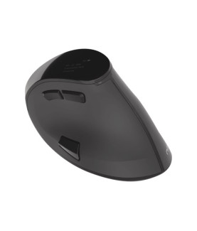 Natec | Vertical Mouse | Euphonie | Wireless | Bluetooth/USB Nano Receiver | Black