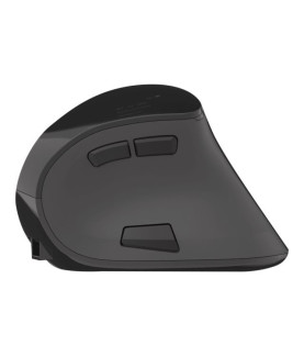 Natec | Vertical Mouse | Euphonie | Wireless | Bluetooth/USB Nano Receiver | Black