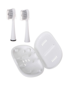 Adler | 2-in-1 Water Flossing Sonic Brush | AD 2180w | Rechargeable | For adults | Number of brush heads included 2 | Number of