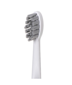 Adler | 2-in-1 Water Flossing Sonic Brush | AD 2180w | Rechargeable | For adults | Number of brush heads included 2 | Number of