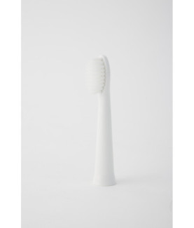 Panasonic | Brush Head | WEW0972W503 | Heads | For adults | Number of brush heads included 2 | Number of teeth brushing modes D