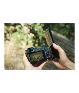 Sony ILCE-6600 E-Mount Camera, Black | Sony | E-Mount Camera | ILCE-6600 | Mirrorless Camera body | 24.2 MP | ISO sensitivity (