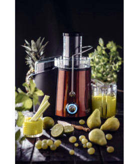 Adler | Juicer | AD 4129 | Type Juicer maker | Copper | 1000 W | Number of speeds 2