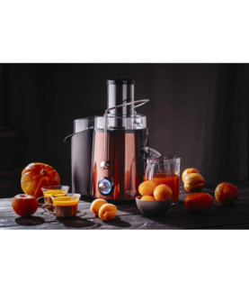 Adler | Juicer | AD 4129 | Type Juicer maker | Copper | 1000 W | Number of speeds 2