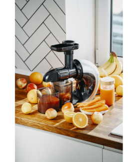 Adler | Slow Juicer | AD 4130 | Type Juicer maker | Steel/Black | 150 W | Number of speeds 1