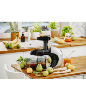 Adler | Slow Juicer | AD 4130 | Type Juicer maker | Steel/Black | 150 W | Number of speeds 1