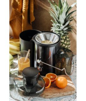 Adler AD 4132 | Type Juicer maker | Dark Inox | 800 W | Number of speeds 3