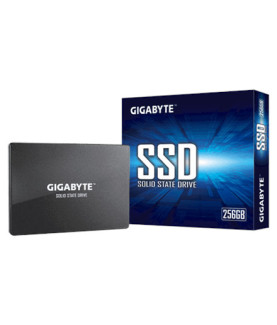 Gigabyte | GP-GSTFS31256GTND | 256 GB | Solid-state drive interface SATA | Read speed 520 MB/s | Write speed 500 MB/s