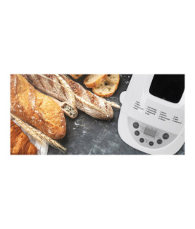 Adler | Bread maker | AD 6019 | Power 850 W | Number of programs 15 | Display LCD | White