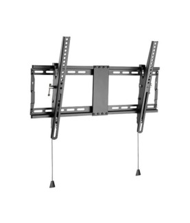 Gembird | Wall mount | Tilt | 37-80 " | Maximum weight (capacity) 70 kg | Black