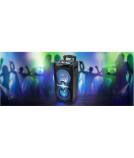 Muse | Speaker | M-1920DJ | 300 W | Bluetooth | Black | Portable