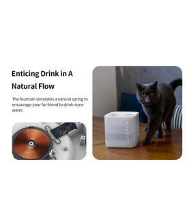 PETKIT | Smart Pet Drinking Fountain | Eversweet Solo SE | Capacity 1.8 L | Filtering | Material Plastic | White