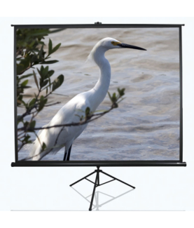 Elite Screens | Tripod Series | T100UWV1 | Diagonal 100 " | 4:3 | Viewable screen width (W) 203 cm | Black