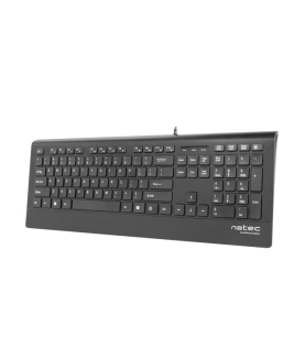 Natec Keyboard, Barracuda, US Layout, Slim | Natec | Keyboard | Barracuda | Standard | Wired | US | Black | 529 g