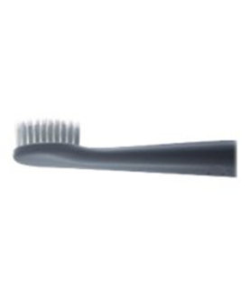 Panasonic | Electric Toothbrush | EW-DM81-G503 | Rechargeable | For adults | Number of brush heads included 2 | Number of teeth