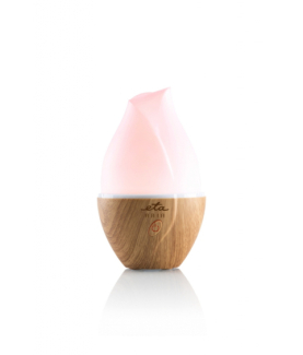 ETA | Aroma diffuser | Aria ETA463490000 | Ultrasonic | Suitable for rooms up to 25 m | Wood