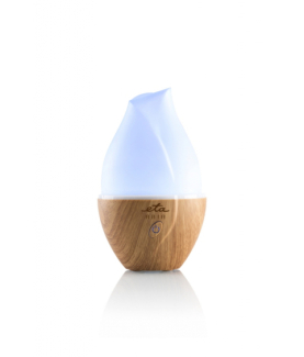 ETA | Aroma diffuser | Aria ETA463490000 | Ultrasonic | Suitable for rooms up to 25 m | Wood