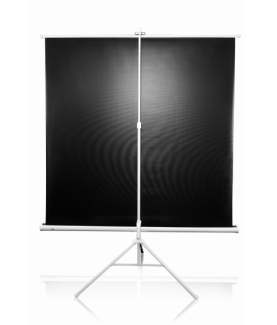 Elite Screens | Tripod Series | T113NWS1 | Diagonal 113 " | 1:1 | Viewable screen width (W) 203 cm | White