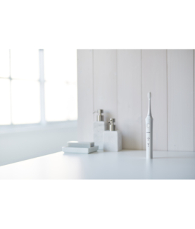 Panasonic | Toothbrush | EW-DL83 | Rechargeable | For adults | Number of brush heads included 3 | Number of teeth brushing mode