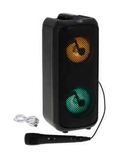 Adler Speaker with radio | AD 1903 | 2x5 W | Bluetooth | Black | Portable | Wireless connection