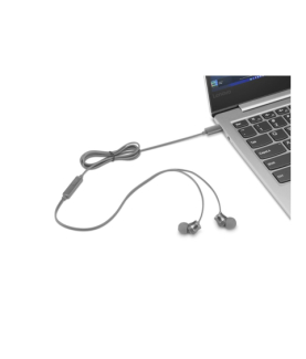 Lenovo | 300 USB-C In-Ear Headphone | GXD1J77353 | Built-in microphone | Wired | Grey