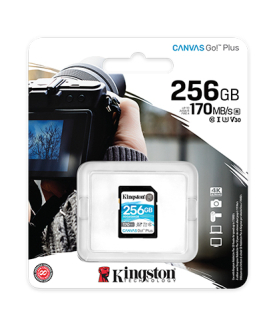 Kingston | Canvas Go! Plus | 256 GB | Flash memory class 10