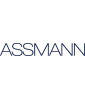 ASSMANN ELECTRONIC