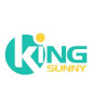 KING-SUNNY TECHNOLOGY