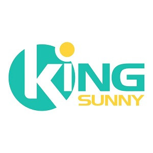 KING-SUNNY TECHNOLOGY